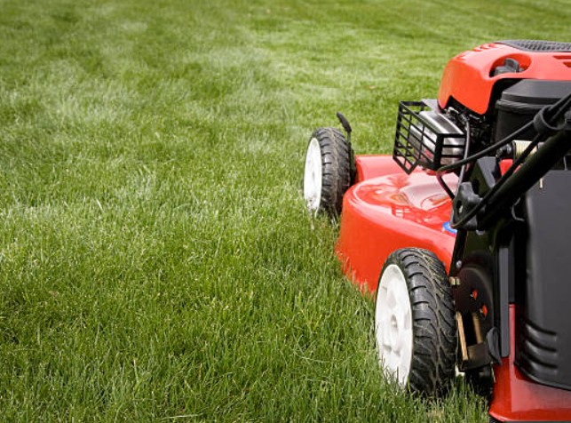 Mowing and Edging Grass Jason Simmonds Vine & Branch Landscapes Portland Oregon